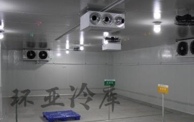 开创云全域建站