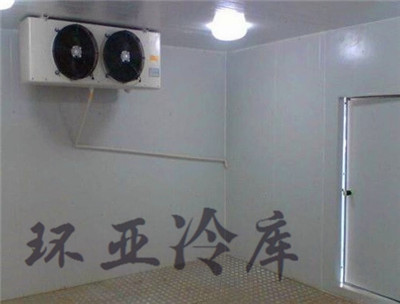 开创云全域建站